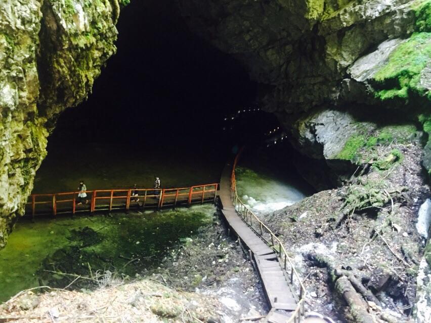 Pensiunea Alexolar Matisesti Dış mekan fotoğraf